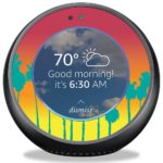 Echo Spot Skins and Decals
